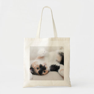 Calico Cat Lendering på rygg med tassar upp Tygkasse