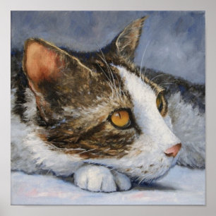 Calico Cat med Gult Öga Porträtt Poster