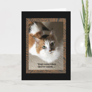 Calico Cat med humor Kort