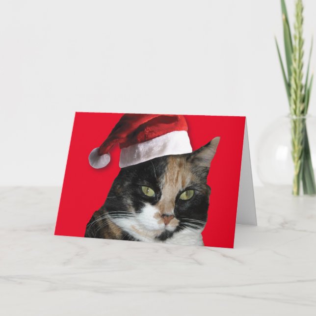 Calico Cat med Jultomten Hat Helgkort (Framsida)