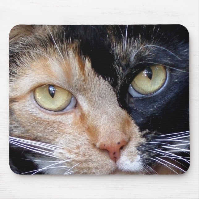 Calico cat mousepad musmatta (Framsidan)