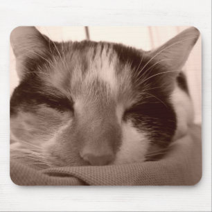 Calico Cat Mousepad Musmatta