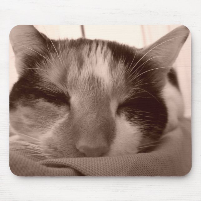 Calico Cat Mousepad Musmatta (Framsidan)