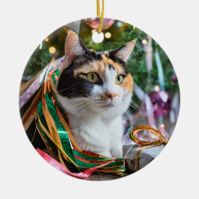 Calico Cat på en Helgdag Ornament (Framsidan)