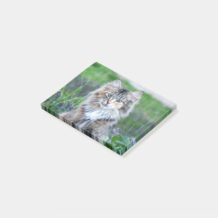 Calico Cat Post-it Block