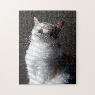 Calico cat pussel