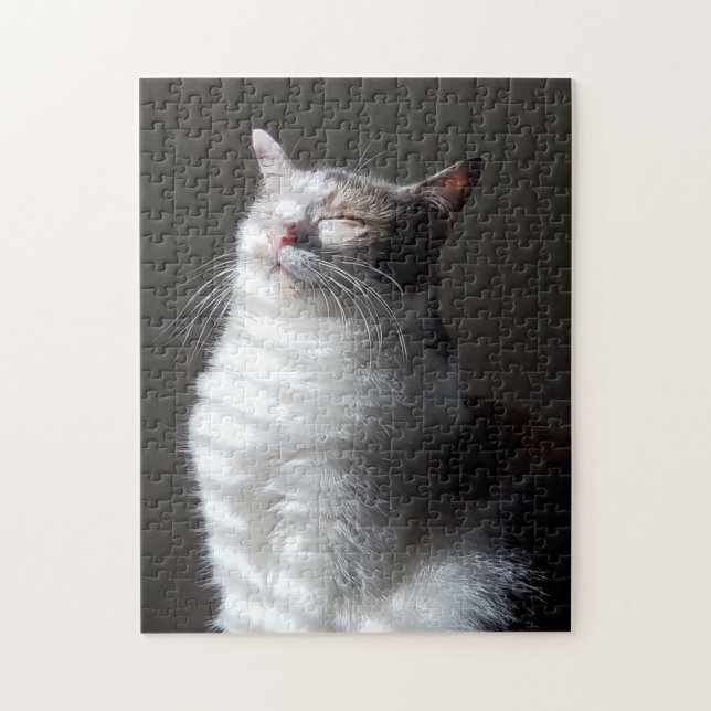 Calico cat pussel (Vertikal)