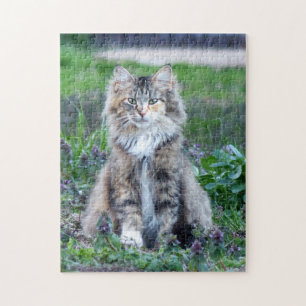 Calico Cat Pussel