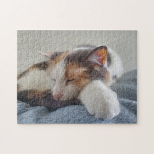 Calico Cat Pussel