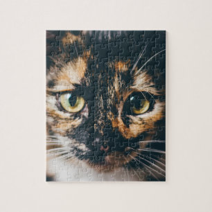 CALICO CAT PUZZLE PUSSEL