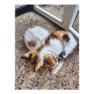 Calico Cat Relaxating Peacely on Textured ground Fototryck
