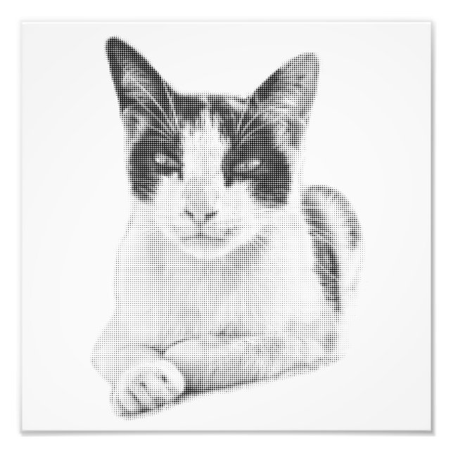 Calico Cat Retro Halftone Fototryck (Framsidan)