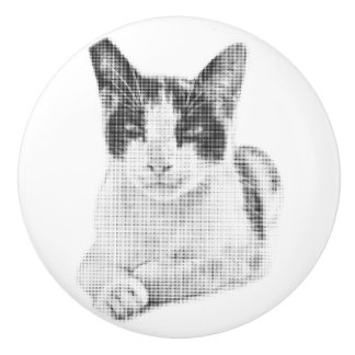 Calico Cat Retro Halftone Knopp