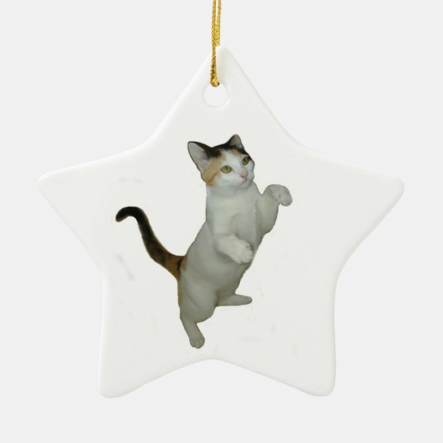 Calico Cat Sätt upp Ornament (Framsidan)