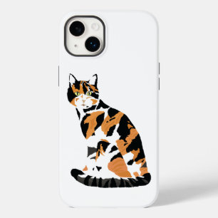 Calico cat sitta