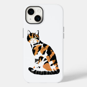 Calico cat sitta