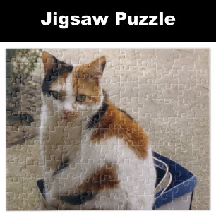 Calico cat sitta i en låda i trädgården pussel