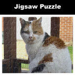 Calico cat sitta på fördämning pussel<br><div class="desc">Calico cat jigszle puzzle Gift-idé för sällskapsdjursälskare</div>