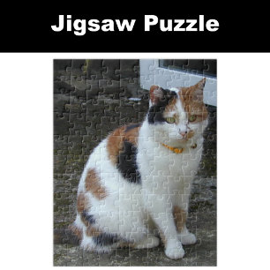 Calico cat sitta utanför pussel