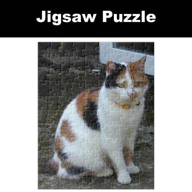 Calico cat sitta utanför pussel (Skapare uppladdad)