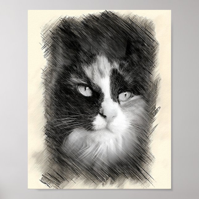 Calico Cat Sketch Art - Feline Portrait Drawing Poster (Framsidan)