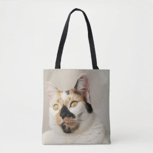 Calico Cat Tygkasse