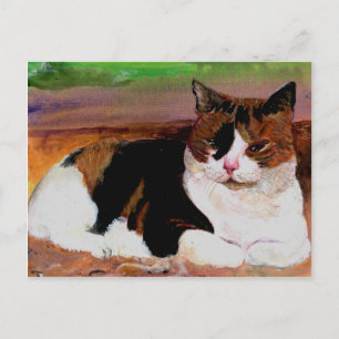 Calico Cat Vykort