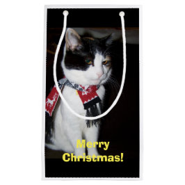 Calico Cat Wearing Scarf Gift Bag
