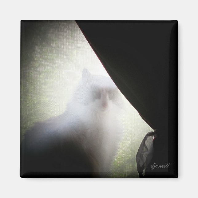 Calico Ghost Cat by djoneill Magnet (Framsidan)