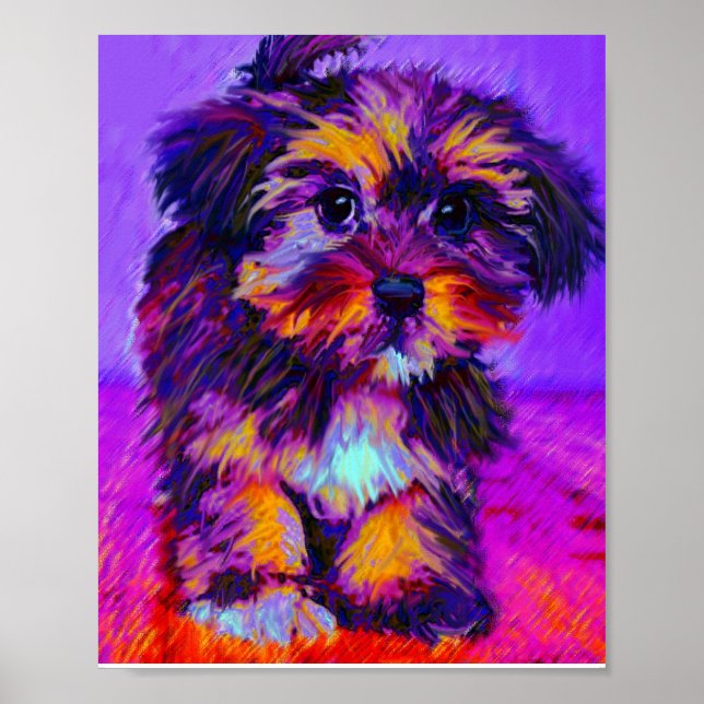 calico hund poster (Framsidan)
