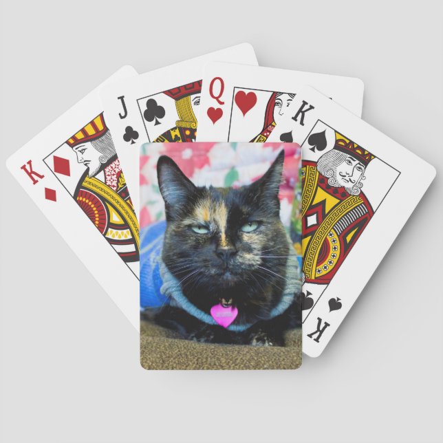 Calico I Casinokort (Baksidan)