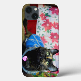 Calico II