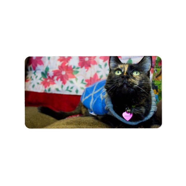 Calico II Adressetikett (Framsidan)