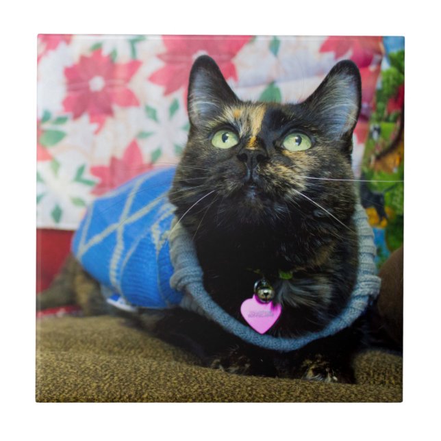 Calico II Kakelplatta (Framsidan)