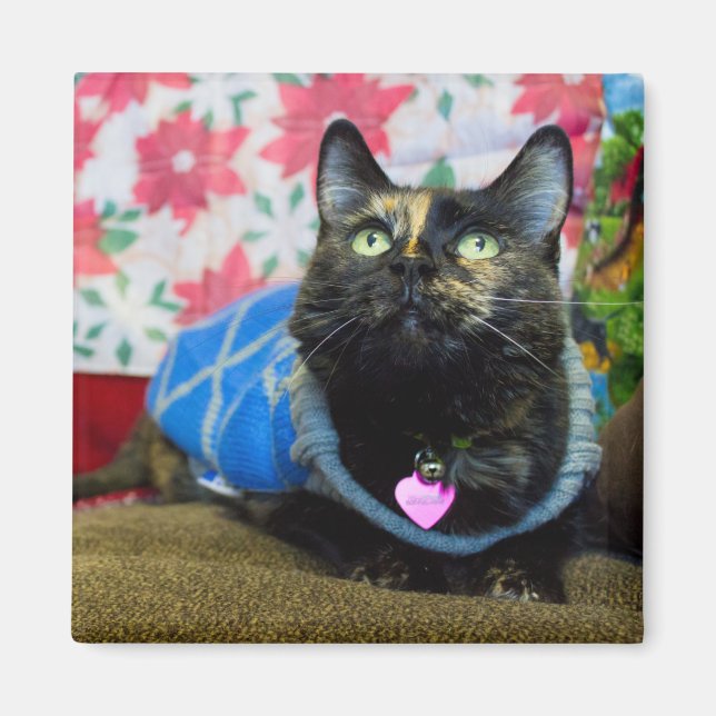 Calico II Magnet (Framsidan)
