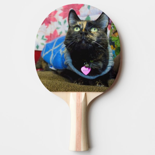 Calico II Pingisracket (Framsidan)