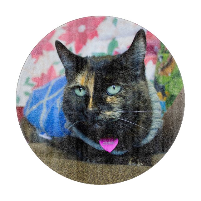 Calico III (Framsidan)