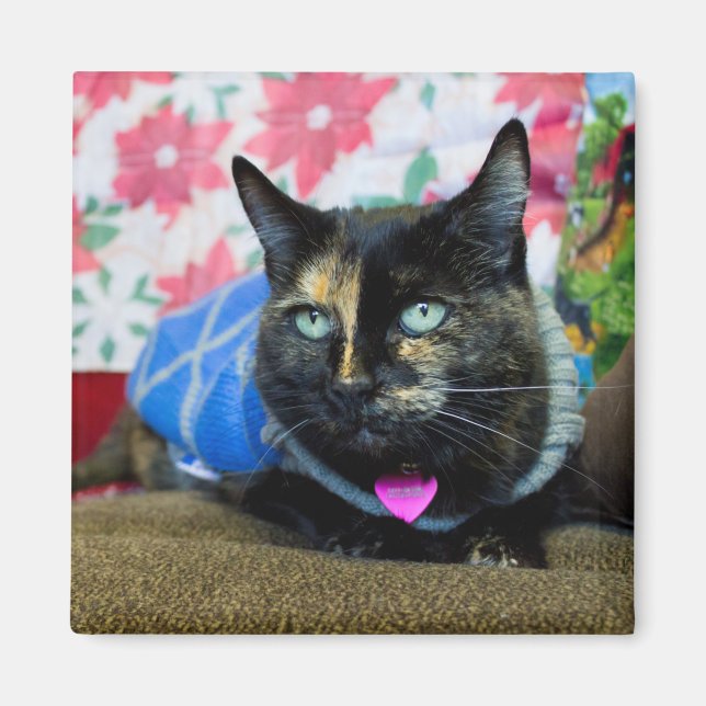 Calico III Magnet (Framsidan)