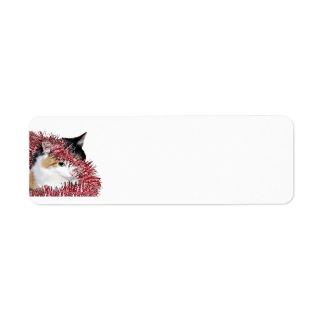 Calico jul kattunge returadress etikett (Framsidan)