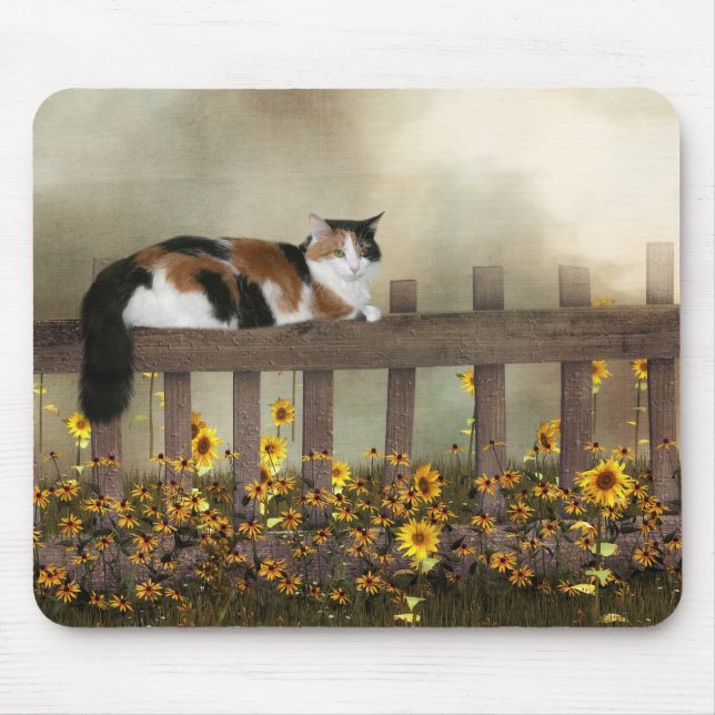 Calico kattunge musmatta (Framsidan)