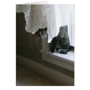 Calico Kattunge på Window Sill, peek-a-boo! Hälsningskort