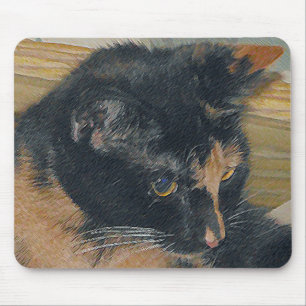 Calico Kitten Ansikte Musmatta