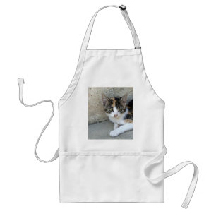 Calico Kitten Förkläde