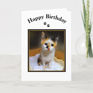 Calico Kitten Grattis på födelsedagen Kort