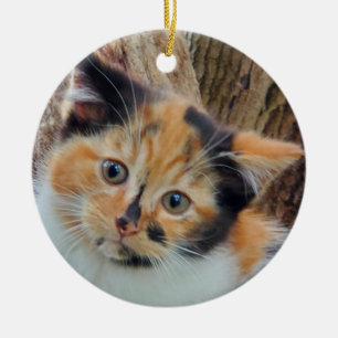Calico kitten julgransprydnad keramik