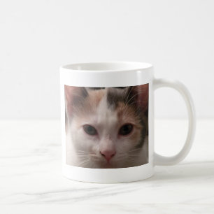 Calico kitten mugg