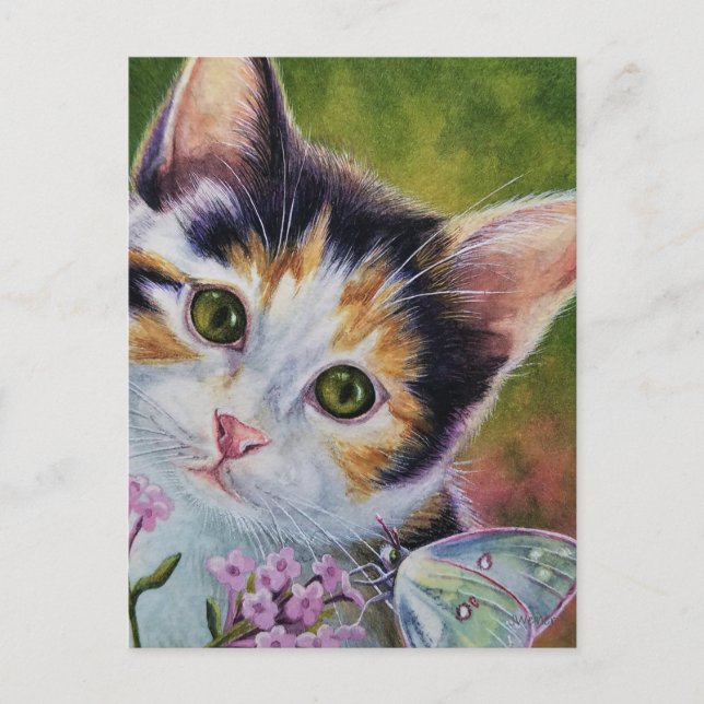 Calico Kitten och Sulfur Butterfly Watercolor Art Vykort (Framsida)