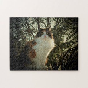 Calico och gräs eller ditt fotopussel