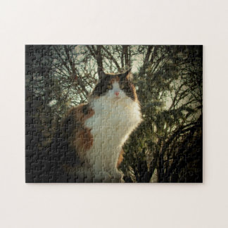 Calico och gräs eller ditt fotopussel
