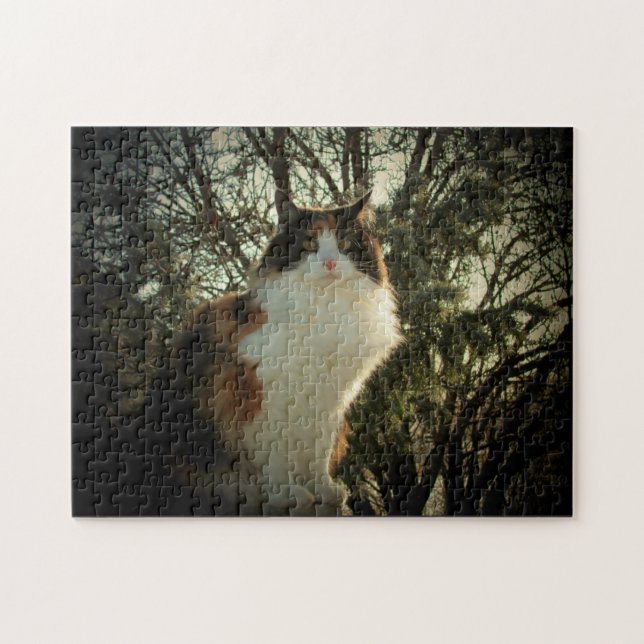 Calico och gräs eller ditt fotopussel (Horisontell)